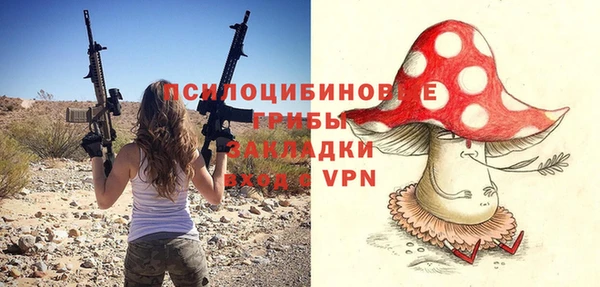 mdpv Белокуриха