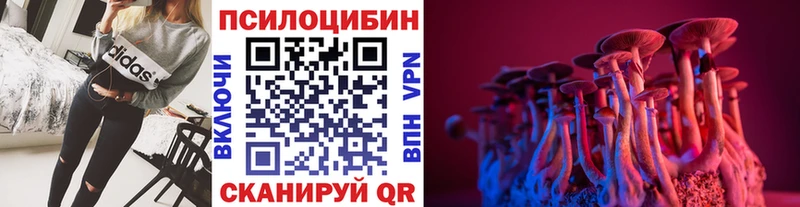 ОМГ ОМГ рабочий сайт  Борзя  Псилоцибиновые грибы MAGIC MUSHROOMS  купить наркотики цена 