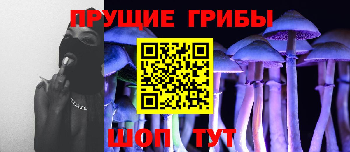 Псилоцибиновые грибы GOLDEN TEACHER  Галлюциногенные грибы Magic Shrooms  Борзя  Вход с VPN 