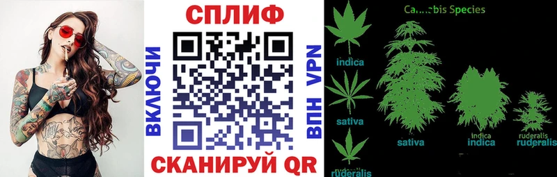 Канабис SATIVA & INDICA Борзя